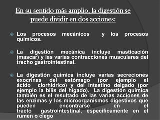 En su sentido más amplio, la digestión se puede dividir en dos acciones:Los procesos mecánicos  y los procesos químicos. La digestión mecánica incluye masticación (mascar) y las varias contracciones musculares del trecho gastrointestinal.  La digestión química incluye varias secreciones exocrinas del estómago (por ejemplo el ácido  clorhídrico) y del intestino delgado (por ejemplo la bilis del hígado).  La digestión química también es el resultado de las varias acciones de las enzimas y los microorganismos digestivos que pueden encontrarse en el tracto  gastrointestinal, específicamente en el rumen o ciego