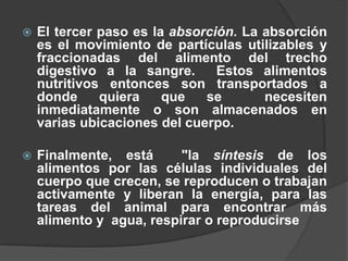 El tercer paso es la absorción. La absorción es el movimiento de partículas utilizables y fraccionadas del alimento del trecho digestivo a la sangre.  Estos alimentos nutritivos entonces son transportados a donde quiera que se  necesiten inmediatamente o son almacenados en varias ubicaciones del cuerpo. Finalmente, está  "la síntesis de los alimentos por las células individuales del cuerpo que crecen, se reproducen o trabajan activamente y liberan la energía, para las tareas del animal para encontrar más alimento y  agua, respirar o reproducirse
