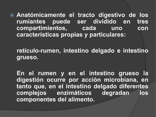 Anatómicamente el tracto digestivo de los rumiantes puede ser dividido en tres compartimientos, cada uno con características propias y particulares:     retículo-rumen, intestino delgado e intestino grueso.En el rumen y en el intestino grueso la digestión ocurre por acción microbiana, en tanto que, en el intestino delgado diferentes complejos enzimáticos degradan los componentes del alimento.