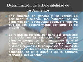 Determinación de la Digestibilidad de los Alimentos Los animales en general y las cabras en particular relacionan los sabores de los alimentos con la respuesta positiva o negativa que reciben posteriormente por parte de su organismo.La respuesta recibida por parte del organismo es crucial en la valoración de un nuevo alimento porque es la manera que tiene el animal de conocer como han respondido sus diversos órganos a la composición química de los nuevos nutrientes proporcionando así una sensación de si le gusta o de lo contrario rechaza el nuevo sabor 