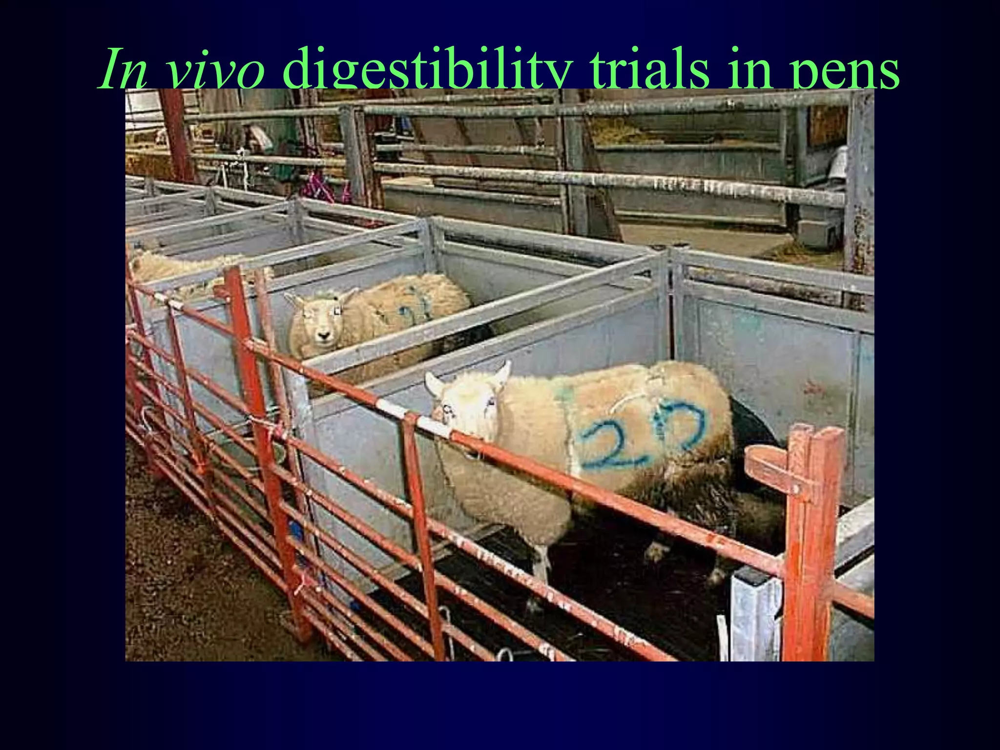 In vivo digestibility trials in pens
 