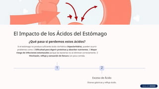 El Impacto de los Ácidos del Estómago
1
¿Qué pasa si perdemos estos ácidos?
Si el estómago no produce suficiente ácido clorhídrico (hipoclorhidria), pueden ocurrir
problemas como: ❌ Dificultad para digerir proteínas y absorber nutrientes. ❌ Mayor
riesgo de infecciones estomacales porque las bacterias no se eliminan correctamente. ❌
Hinchazón, reflujo y sensación de llenura con poca comida.
2
Exceso de Ácido
Úlceras gástricas y reflujo ácido.
 