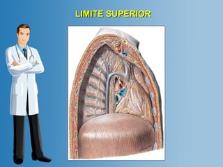 LLIIMMIITTEE SSUUPPEERRIIOORR 
 