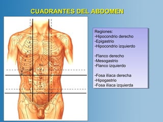 CUADRANTES DDEELL AABBDDOOMMEENN 
Regiones: 
-Hipocondrio derecho 
-Epigastrio 
-Hipocondrio izquierdo 
-Flanco derecho 
-Mesogastrio 
-Flanco izquierdo 
-Fosa ilíaca derecha 
-Hipogastrio 
-Fosa ilíaca izquierda 
Regiones: 
-Hipocondrio derecho 
-Epigastrio 
-Hipocondrio izquierdo 
-Flanco derecho 
-Mesogastrio 
-Flanco izquierdo 
-Fosa ilíaca derecha 
-Hipogastrio 
-Fosa ilíaca izquierda 
 