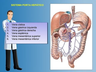 SISTEMA PORTA HEPÁTICO 
11.. VVeennaa ccííssttiiccaa 
22.. VVeennaa ggáássttrriiccaa iizzqquuiieerrddaa 
33.. VVeennaa ggáássttrriiccaa ddeerreecchhaa 
44.. VVeennaa eesspplléénniiccaa 
55.. VVeennaa mmeesseennttéérriiccaa ssuuppeerriioorr 
66.. VVeennaa mmeesseennttéérriiccaa iinnffeerriioorr 
11.. VVeennaa ccííssttiiccaa 
22.. VVeennaa ggáássttrriiccaa iizzqquuiieerrddaa 
33.. VVeennaa ggáássttrriiccaa ddeerreecchhaa 
44.. VVeennaa eesspplléénniiccaa 
55.. VVeennaa mmeesseennttéérriiccaa ssuuppeerriioorr 
66.. VVeennaa mmeesseennttéérriiccaa iinnffeerriioorr 
 