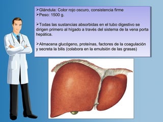 GGlláánndduullaa:: CCoolloorr rroojjoo oossccuurroo,, ccoonnssiisstteenncciiaa ffiirrmmee 
PPeessoo:: 11550000 gg.. 
TTooddaass llaass ssuussttaanncciiaass aabbssoorrbbiiddaass eenn eell ttuubboo ddiiggeessttiivvoo ssee 
ddiirriiggeenn pprriimmeerroo aall hhííggaaddoo aa ttrraavvééss ddeell ssiisstteemmaa ddee llaa vveennaa ppoorrttaa 
hheeppááttiiccaa.. 
AAllmmaacceennaa gglluuccóóggeennoo,, pprrootteeíínnaass,, ffaaccttoorreess ddee llaa ccooaagguullaacciióónn 
yy sseeccrreettaa llaa bbiilliiss ((ccoollaabboorraa eenn llaa eemmuullssiióónn ddee llaass ggrraassaass)) 
GGlláánndduullaa:: CCoolloorr rroojjoo oossccuurroo,, ccoonnssiisstteenncciiaa ffiirrmmee 
PPeessoo:: 11550000 gg.. 
TTooddaass llaass ssuussttaanncciiaass aabbssoorrbbiiddaass eenn eell ttuubboo ddiiggeessttiivvoo ssee 
ddiirriiggeenn pprriimmeerroo aall hhííggaaddoo aa ttrraavvééss ddeell ssiisstteemmaa ddee llaa vveennaa ppoorrttaa 
hheeppááttiiccaa.. 
AAllmmaacceennaa gglluuccóóggeennoo,, pprrootteeíínnaass,, ffaaccttoorreess ddee llaa ccooaagguullaacciióónn 
yy sseeccrreettaa llaa bbiilliiss ((ccoollaabboorraa eenn llaa eemmuullssiióónn ddee llaass ggrraassaass)) 
 