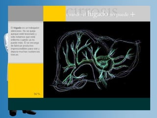 Digestión   Higado - Dr Farfan