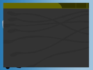 Digestión   Higado - Dr Farfan