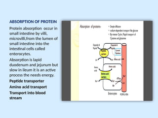 Comprehensive Physiology of Digestion and Absorption of Macronutrients ...
