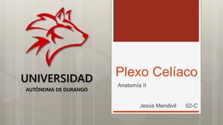 Plexo Celíaco
Anatomía II
UNIVERSIDAD
AUTÓNOMA DE DURANGO
Jesús Mendivil 02-C
 