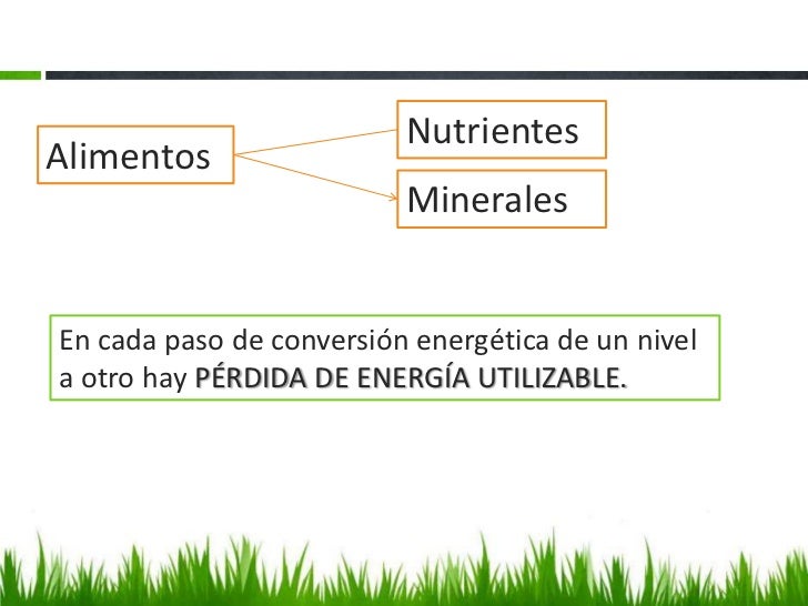 El entrenamiento la hipnosis para el adelgazamiento
