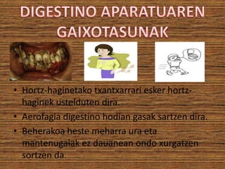 • Hortz-haginetako txantxarrari esker hortzhaginek ustelduten dira.
• Aerofagia digestino hodian gasak sartzen dira.
• Beherakoa heste meharra ura eta
mantenugaiak ez dauanean ondo xurgatzen
sortzen da.

 