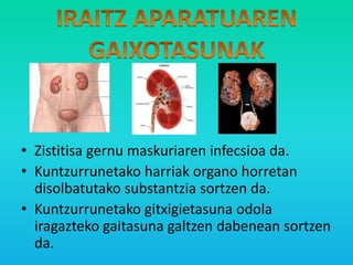 • Zistitisa gernu maskuriaren infecsioa da.
• Kuntzurrunetako harriak organo horretan
disolbatutako substantzia sortzen da.
• Kuntzurrunetako gitxigietasuna odola
iragazteko gaitasuna galtzen dabenean sortzen
da.

 