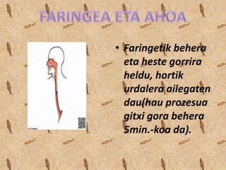 • Faringetik behera
eta heste gorrira
heldu, hortik
urdalera ailegaten
dau(hau prozesua
gitxi gora behera
5min.-koa da).

 