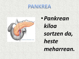• Pankrean
kiloa
sortzen da,
heste
meharrean.

 