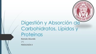 Digestión y Absorción de
Carbohidratos, Lípidos y
Proteínas
Ramsés Abundiz
2°E
FISIOLOGÍA II
 