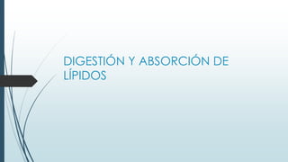 DIGESTIÓN Y ABSORCIÓN DE
LÍPIDOS
 