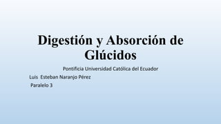 Digestión y Absorción de
Glúcidos
Pontificia Universidad Católica del Ecuador
Luis Esteban Naranjo Pérez
Paralelo 3
 