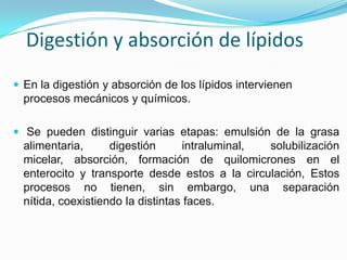 Digestión y absorción de lípidos
 En la digestión y absorción de los lípidos intervienen
  procesos mecánicos y químicos.

 Se pueden distinguir varias etapas: emulsión de la grasa
  alimentaria,      digestión      intraluminal, solubilización
  micelar, absorción, formación de quilomicrones en el
  enterocito y transporte desde estos a la circulación, Estos
  procesos no tienen, sin embargo, una separación
  nítida, coexistiendo la distintas faces.
 