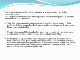 Que realizan esta emulsión favoreciendo asi al ataque enzima tipo de las
partículas grasas.
Una vez producida la emulsión de los lípidos se produce el ataque de las enzimas
pancreatricas. Las cuales son:

 Triacilglicerol enterasa (lipasa pancreatica) hidroliza los enlaces I y I” de la
  molécula de los trigriceridos, dando como producto de digestión ácidos grasos
  libres y 2 monogliceridos

 Colesterol enterasa hidroliza el enlace ester ente el colesterol y un acido graso
  dondo como produtos finales el acido graso y el colesterol libre.

 Fosfolipasa A2 separa un resto de acido graso en posicion 2 del fosfolipido
  formandose un acido graso libre y un lisofosfolipido. Esta encima es mas eficaz
  cuando actua sobre fospolipidos que estan formando micelas mixtas con acidos
  biliares que sobre bicapas fosfolipidicas. Se secreta como proenzima para
  evitar el ataqe a las membranas celulares.
 