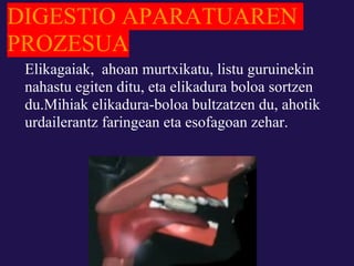 DIGESTIO APARATUAREN
PROZESUA
 Elikagaiak, ahoan murtxikatu, listu guruinekin
 nahastu egiten ditu, eta elikadura boloa sortzen
 du.Mihiak elikadura-boloa bultzatzen du, ahotik
 urdailerantz faringean eta esofagoan zehar.
 