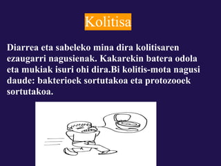 Kolitisa
Diarrea eta sabeleko mina dira kolitisaren
ezaugarri nagusienak. Kakarekin batera odola
eta mukiak isuri ohi dira.Bi kolitis-mota nagusi
daude: bakterioek sortutakoa eta protozooek
sortutakoa.
 