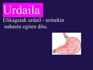 Urdaila
Elikagaiak urdail - urinekin
nahastu egiten ditu.
 