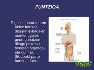 FUNTZIOA


Digestio aparatuaren
  bidez hartzen
  ditugun elikagaien
  mantenugaiak
  geureganatzen
  ditugu.prozesu
  honetan organoak
  eta gurinak
  (likidoak) parte
  hartzen dute.
 