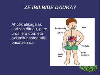 ZE IBILBIDE DAUKA?


Ahotik elikagaiak
sartzen ditugu, gero,
urdailera doa, eta
azkenik hesteetatik
pasatzen da.
 