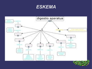 ESKEMA
 
