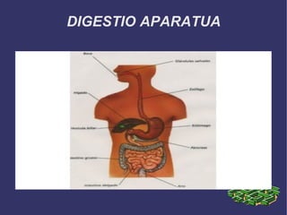 DIGESTIO APARATUA
 