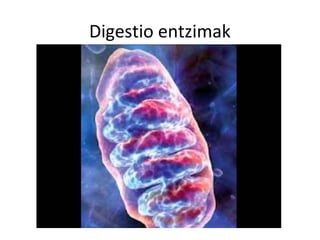 Digestio entzimak
 