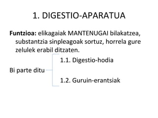 1. DIGESTIO-APARATUA
Funtzioa: elikagaiak MANTENUGAI bilakatzea,
substantzia sinpleagoak sortuz, horrela gure
zelulek erabil ditzaten.
1.1. Digestio-hodia
Bi parte ditu
1.2. Guruin-erantsiak
 