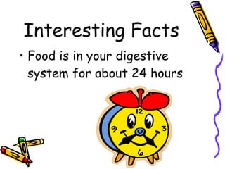 Interesting Facts Food is in your digestive system for about 24 hours 