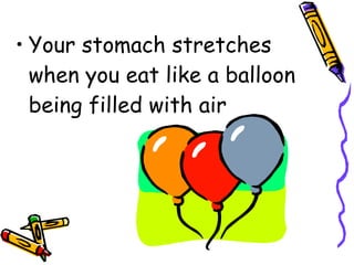 Your stomach stretches when you eat like a balloon being filled with air 