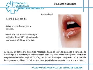 Proceso digestivo. Cavidad oral. Saliva: 1-1.5 L por día. Saliva acuosa: humedese y ablanda. Saliva mucosa: Amilasa salival par hidrólisis de almidón y lisozima de función antiséptica y adhesiva. Al tragar, se transporta la comida masticada hasta el esófago, pasando a través de la orofaringe y la hipofaringe. El mecanismo para tragar es coordinado por el centro de tragado en la médula espinal. El reflejo inicial es iniciado por receptores de tacto en la faringe cuando el bolus de alimentos es empujado hasta la parte de atrás de la boca. 