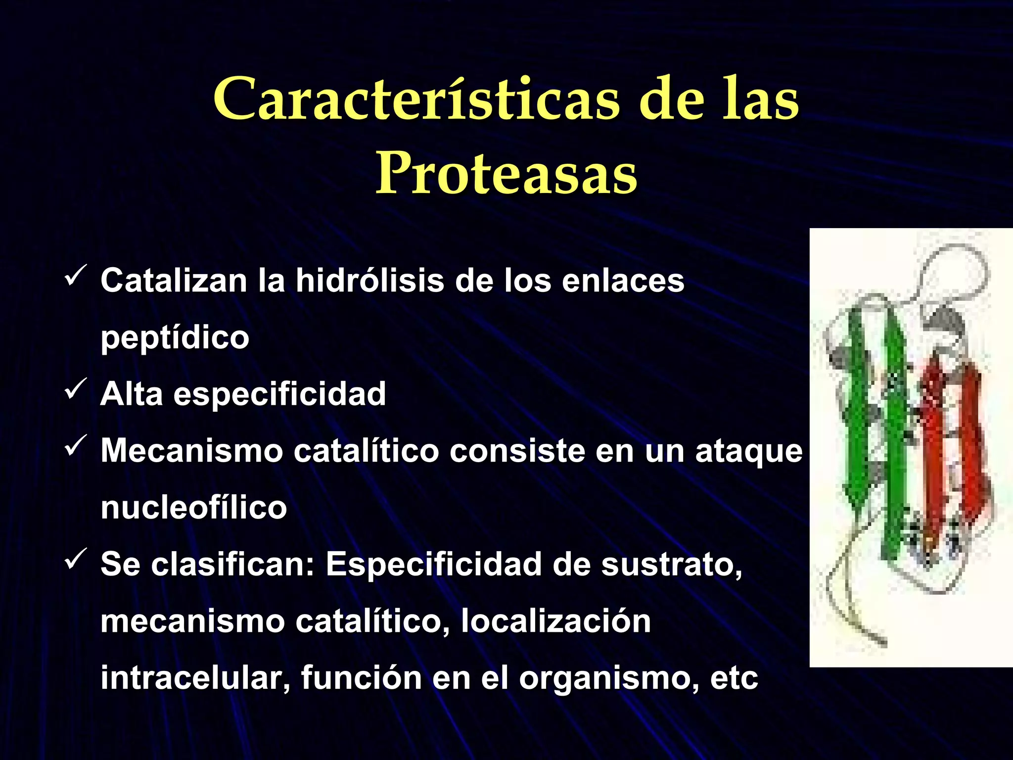 Características de las Proteasas Catalizan la hidrólisis de los enlaces peptídico Alta especificidad Mecanismo catalítico consiste en un ataque nucleofílico Se clasifican: Especificidad de sustrato, mecanismo catalítico, localización intracelular, función en el organismo, etc 