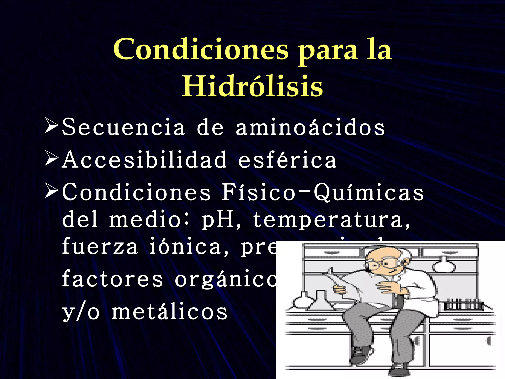 Condiciones para la Hidrólisis Secuencia de aminoácidos  Accesibilidad esférica Condiciones Físico-Químicas del medio: pH, temperatura, fuerza iónica, presencia de  factores orgánicos y/o metálicos 