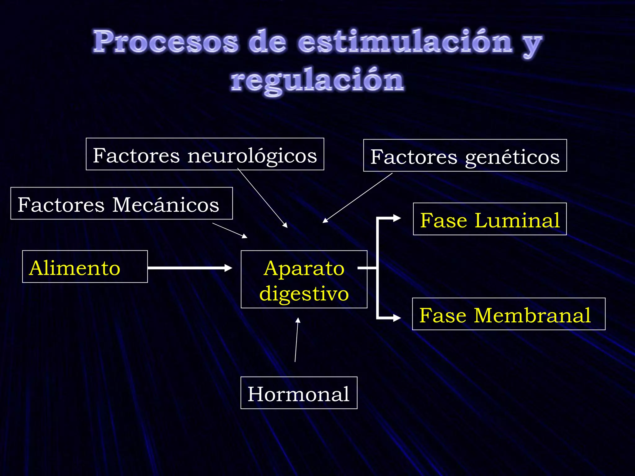 Aparato digestivo Factores neurológicos Alimento Factores Mecánicos Hormonal Fase Membranal Fase Luminal Factores genéticos 