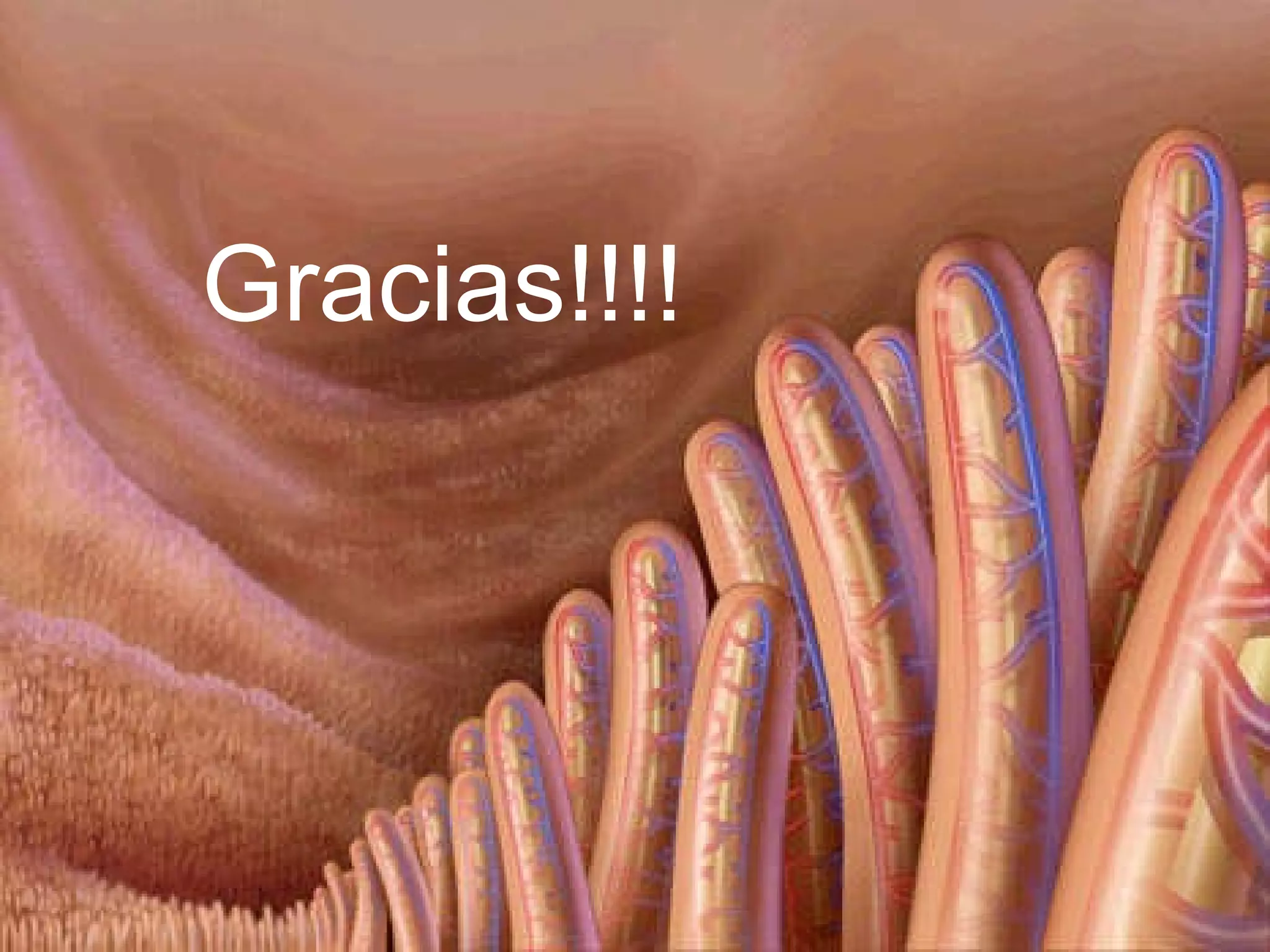Gracias!!!! 