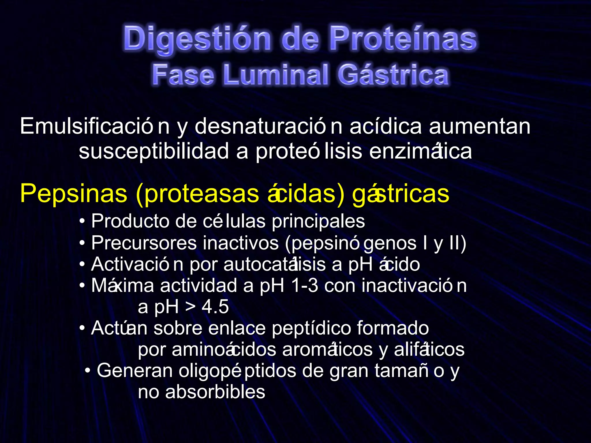 Emulsificación y desnaturación acídica aumentan  susceptibilidad a proteólisis enzimática Pepsinas   (proteasas ácidas) gástricas •  Producto de células principales •  Precursores inactivos (pepsinógenos I y II) •  Activación por autocatálisis a pH ácido •  Máxima actividad a pH 1-3 con inactivación a pH > 4.5 •  Actúan sobre enlace peptídico formado  por aminoácidos aromáticos y alifáticos  •  Generan oligopéptidos de gran tamaño y  no absorbibles 