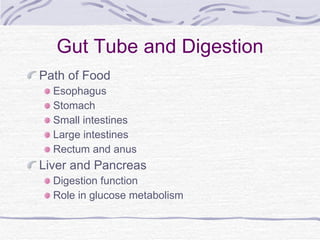 Gut Tube and Digestion ,[object Object],[object Object],[object Object],[object Object],[object Object],[object Object],[object Object],[object Object],[object Object]