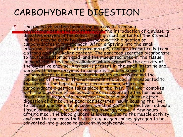 Digestion