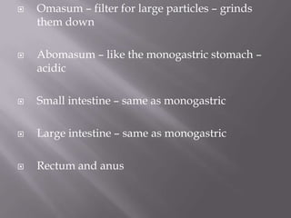    Omasum – filter for large particles – grinds
    them down

   Abomasum – like the monogastric stomach –
    acidic

   Small intestine – same as monogastric

   Large intestine – same as monogastric

   Rectum and anus
 
