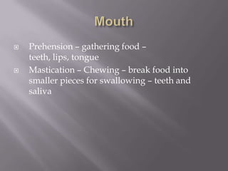    Prehension – gathering food –
    teeth, lips, tongue
   Mastication – Chewing – break food into
    smaller pieces for swallowing – teeth and
    saliva
 