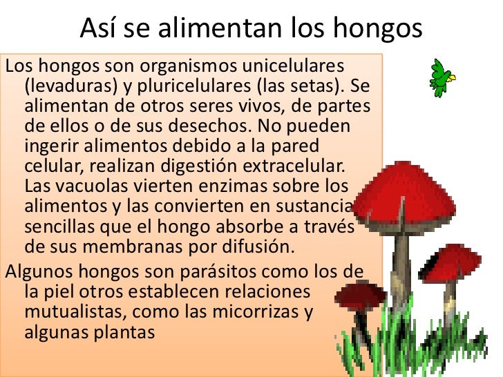 De los parásitos que ayuda