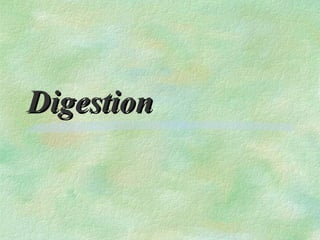 Digestion
 