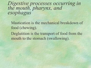 Digestive processes occurring in
the mouth, pharynx, and
esophagus
 Mastication is the mechanical breakdown of
 food (chewing).
 Deglutition is the transport of food from the
 mouth to the stomach (swallowing).
 