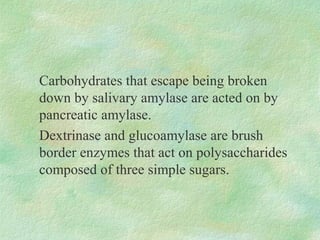 Carbohydrates that escape being broken
down by salivary amylase are acted on by
pancreatic amylase.
Dextrinase and glucoamylase are brush
border enzymes that act on polysaccharides
composed of three simple sugars.
 