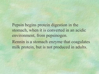 Pepsin begins protein digestion in the
stomach, when it is converted in an acidic
environment, from pepsinogen.
Rennin is a stomach enzyme that coagulates
milk protein, but is not produced in adults.
 